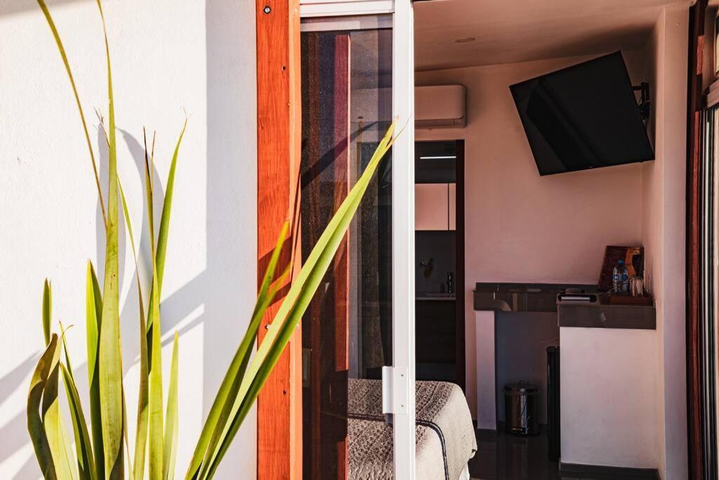 Cabana El Alamo Con Jacuzzi Βίλα Valle de Guadalupe Εξωτερικό φωτογραφία